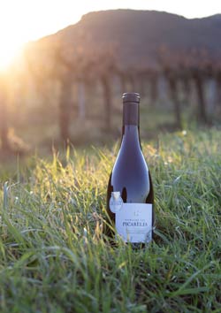 vignerons_gaujac_pas_de_desherbants_250px