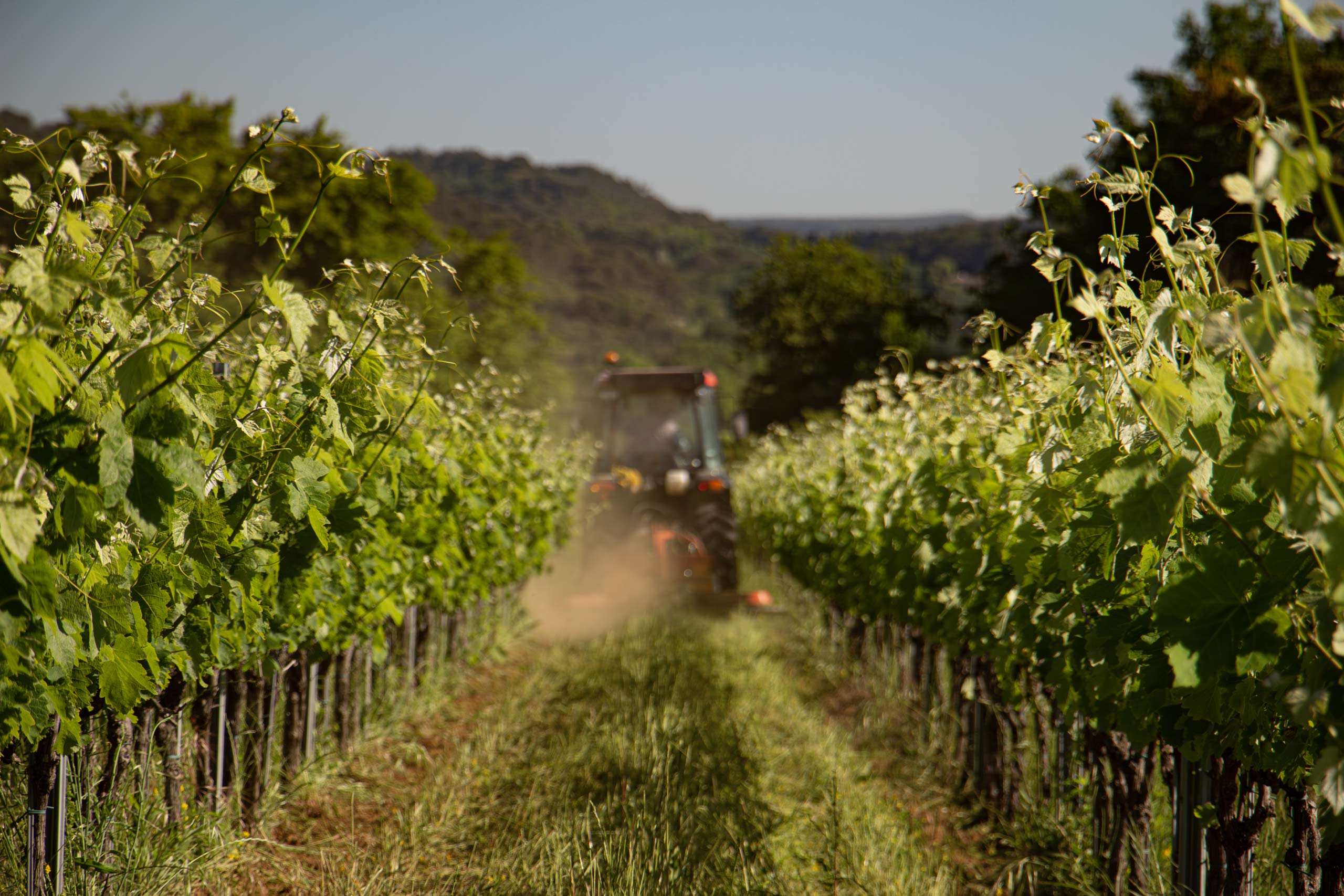 vignerons_gaujac_tracteur_a_2560px