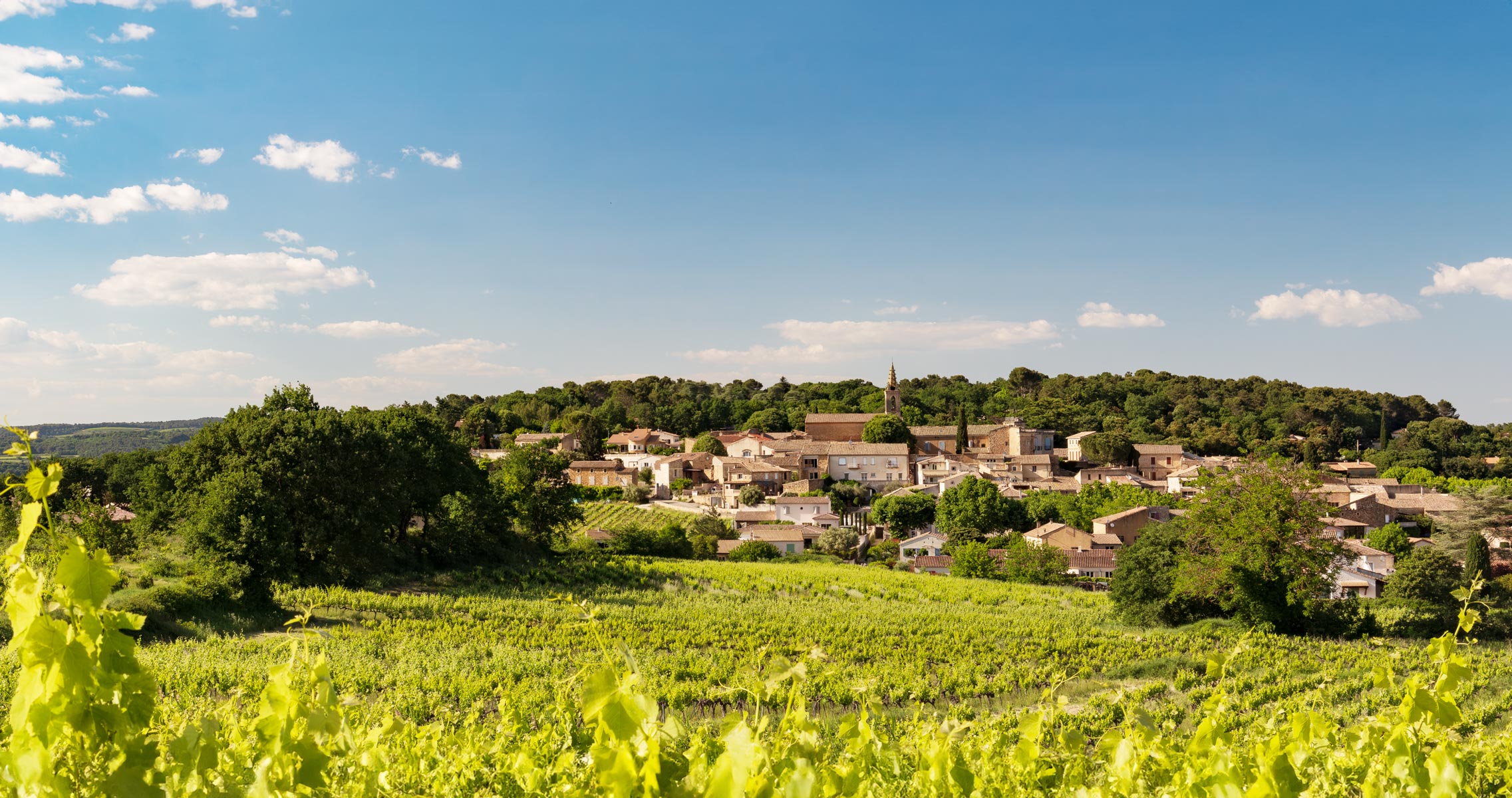 Les Vignerons de Gaujac